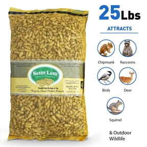 Sandy Land Peanuts - 25 Pounds