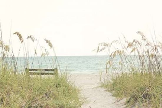Sandy Path Canvas Art - Gail Peck (24X36)