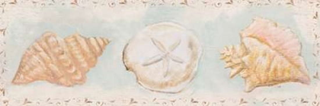 Sandy Shells II Canvas Art - Tiffany Hakimipour (12 x 36)
