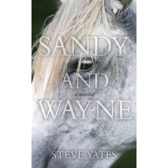 Sandy and Wayne, (Paperback)