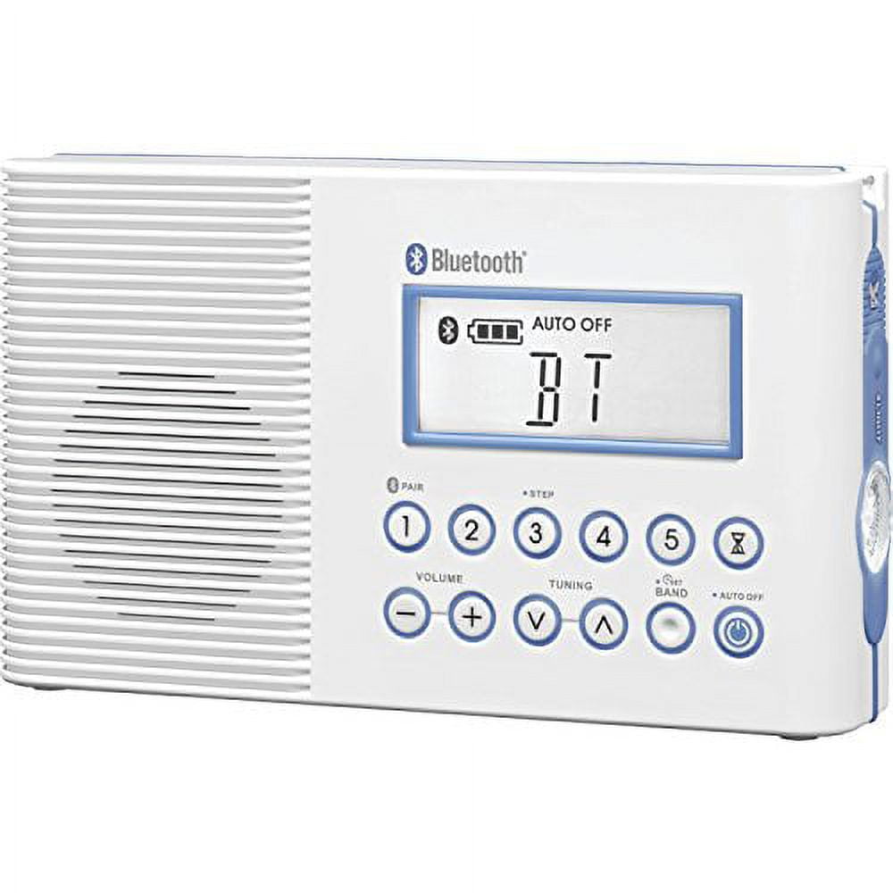 Sangean H202 Portable AM/FM/Weather Alert/ Bluetooth Digital Tuning