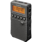 Sangean Portable AM/FM Radio, Black, DT-800