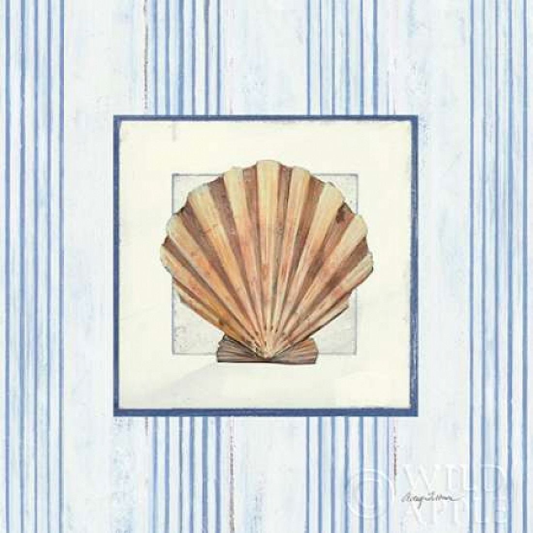 Sanibel Shell I Canvas Art - Avery Tillmon (24 x 24)