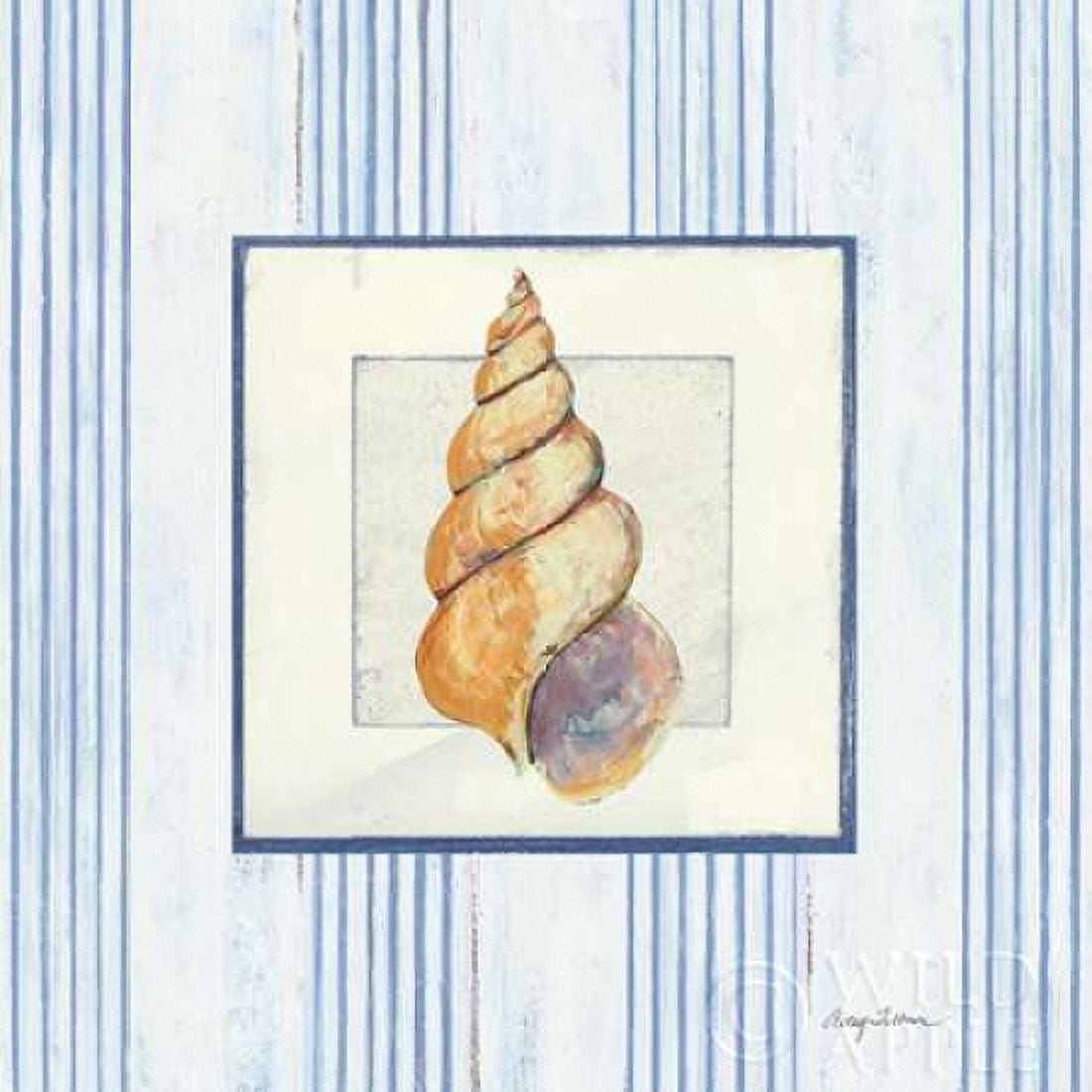 Sanibel Shell II Canvas Art - Avery Tillmon (24 x 24)