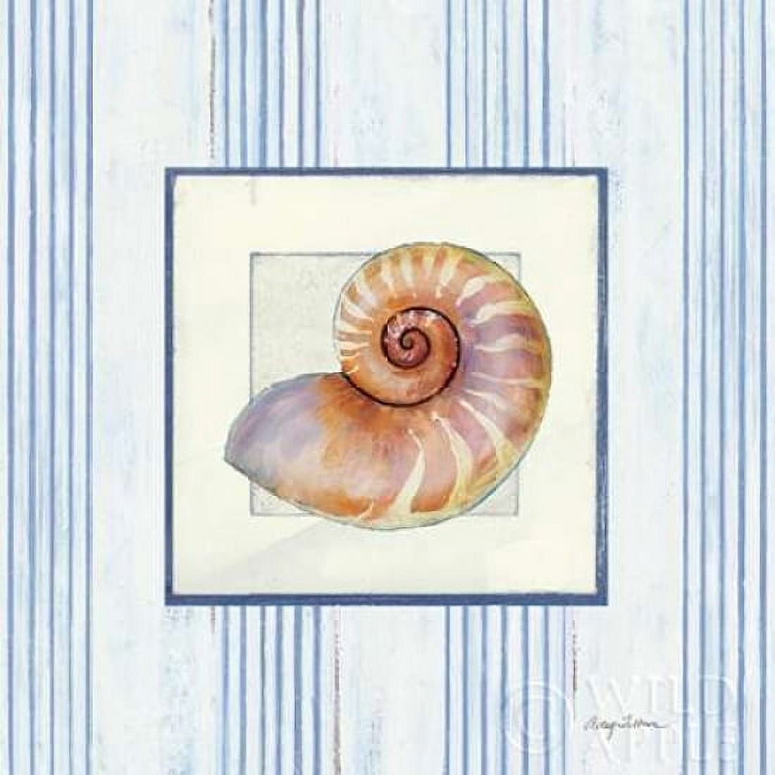 Sanibel Shell III Canvas Art - Avery Tillmon (24 x 24)
