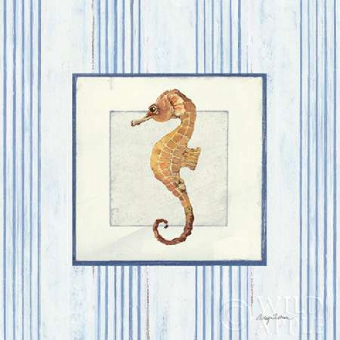 Sanibel Shell IV Canvas Art - Avery Tillmon (24 x 24)