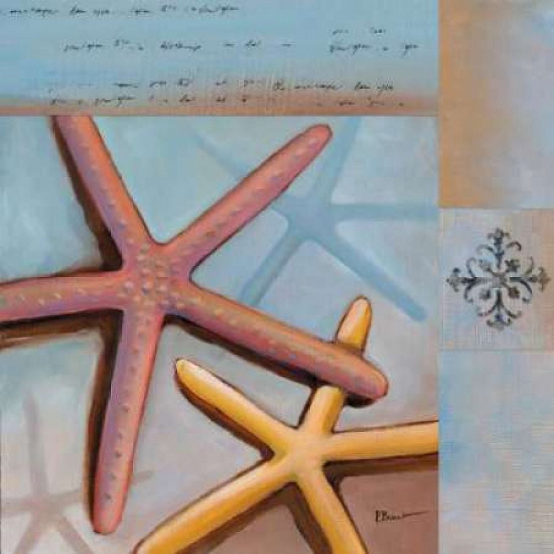 Sanibel Starfish Canvas Art - Paul Brent (24 x 24)
