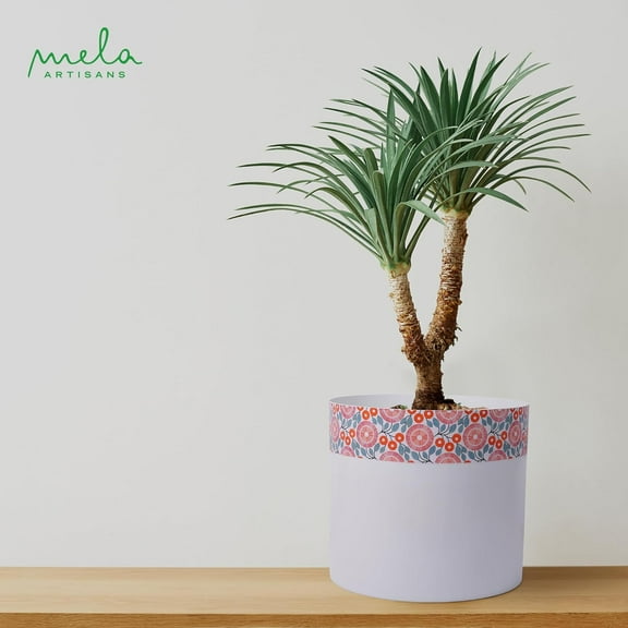 Sanjay Large Indoor Planter, Glossy Finish Metal Planter, Enamel Floral & White Planter for Indoor Plants with 3 Felt Pads Underneath, Modern, Rustproof Home Decorations for Living Room - 10"x10"x9"