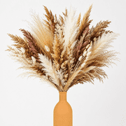 Sanmadrola 80 Pcs Natural Dried Pampas Grass Boho Home Decor Dried Reed Flowers Floral Arrangements Wall Bathroom Decor Spring Decor