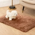 thumbnail image 1 of Sanmadrola Area Rugs for Living Room Bed Room Rugs Faux Fur Rug Faux Sheepskin Indoor Shag Area Rug Coffee, 1 of 7