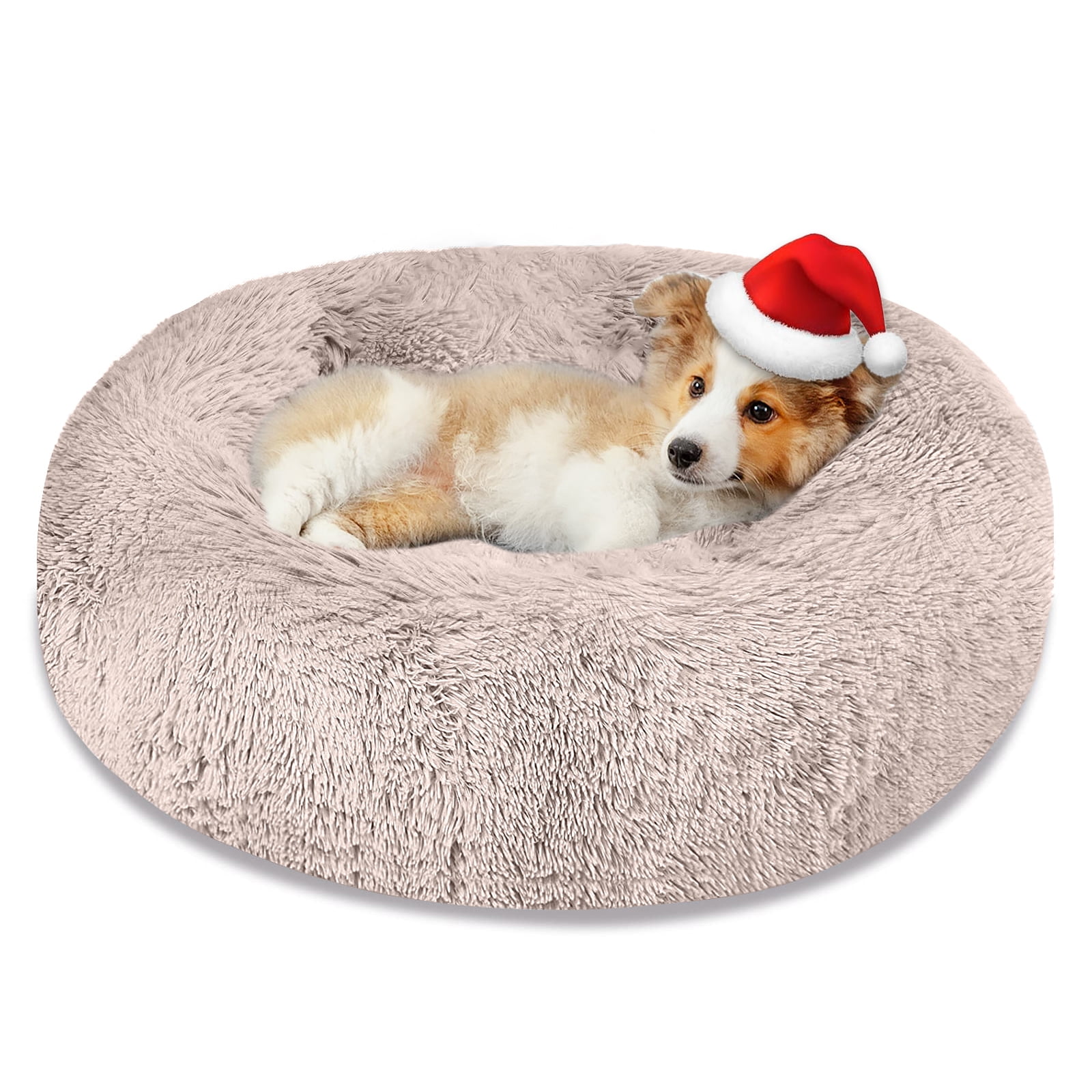 Comfy dog beds for small clearance dogs
