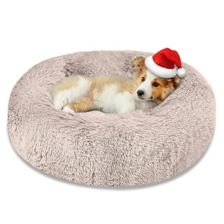 Thunder bed for clearance dogs