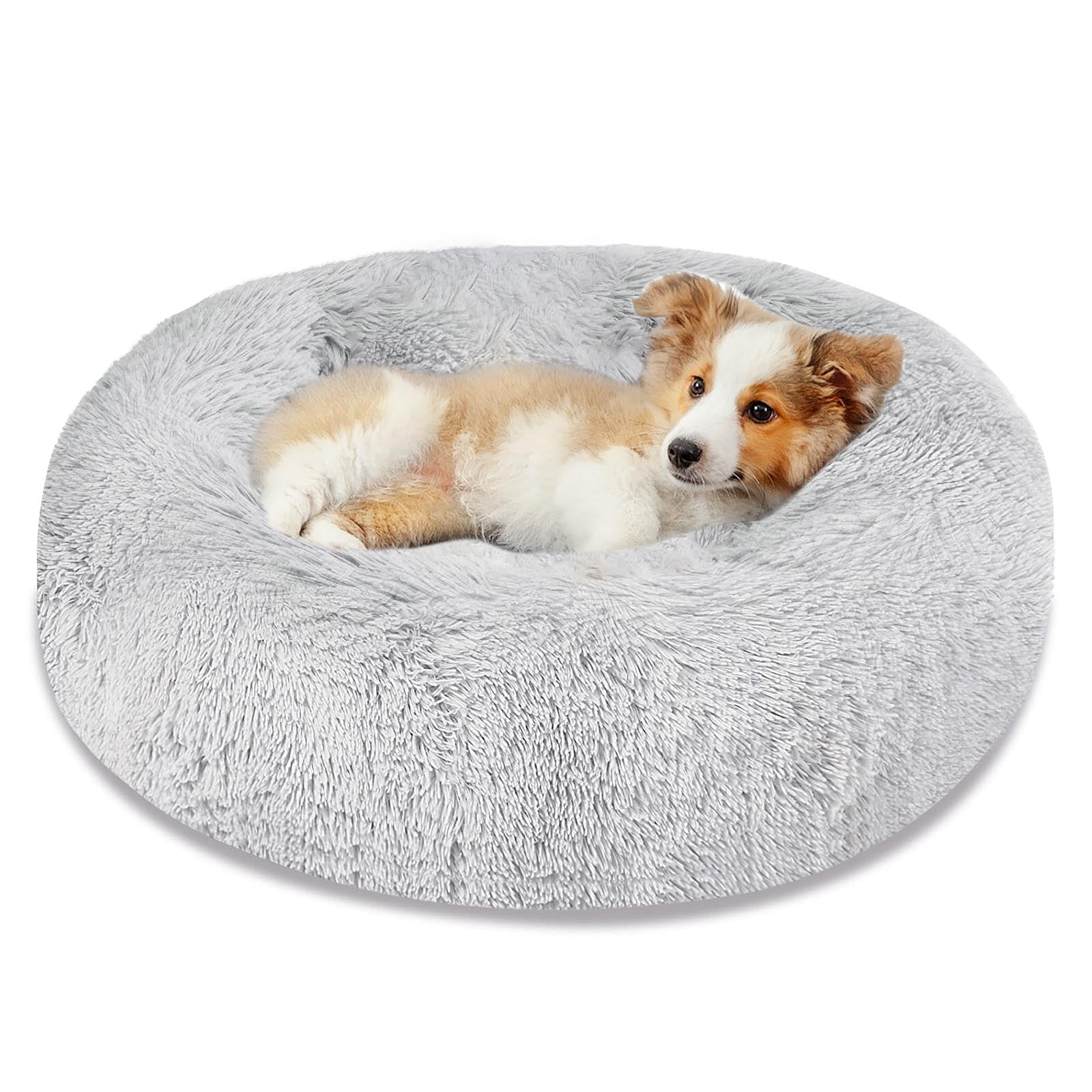 Comfy dog beds store for small dogs