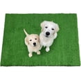 thumbnail image 1 of Sanmadrola Dog Pee Pads Puppy Pet Pad Artificial Dog Grass Pad Training Pads for Dogs Potty Pee Tray Fake Grass Mat Reusable for Indoor and Outdoor Washable 20x40 inch Large, 1 of 9