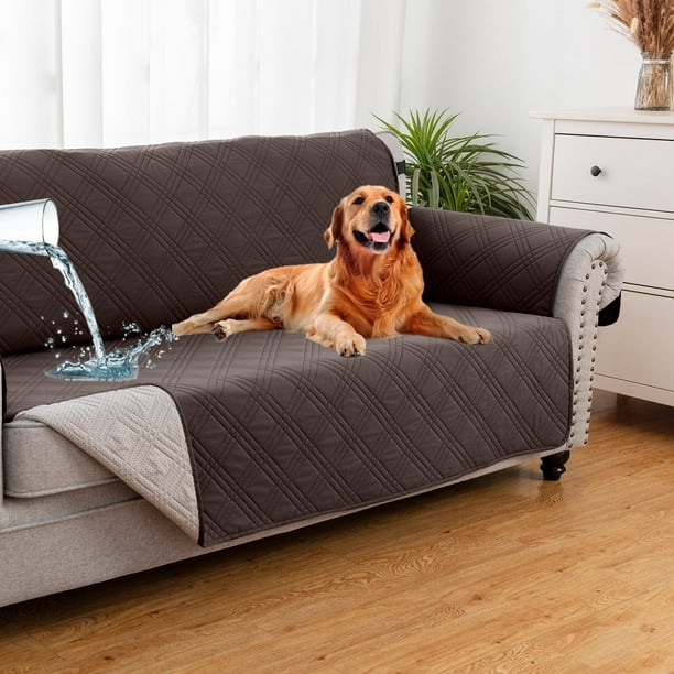 Sofa sitting cover new arrivals