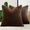 thumbnail image 1 of Sanmadrola Decorative Throw Pillow Covers 18" x 18" Set of 2, Teddy Fur Couch Plliowcase Cushion Cover Modern Farmhouse Home Decor, Dark Brown, 1 of 6