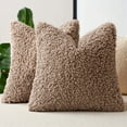 thumbnail image 1 of Sanmadrola Decorative Throw Pillow Covers 18" x 18" Set of 2, Teddy Fur Couch Plliowcase Cushion Cover Modern Farmhouse Home Decor, Khaki, 1 of 6