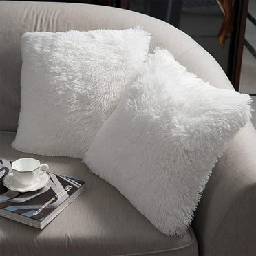 Sanmadrola Throw Pillow Covers Pillow Protector with Hidden Zipper Furry Faux Fur 18''x18'' 2 Pack