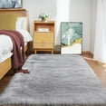 thumbnail image 1 of Sanmadrola Ultra Soft Fluffy Shaggy Area Rug Faux Fur Rug Chair Cover Seat Pad Fuzzy Area Rug for Bedroom Floor Sofa Living Room, 1 of 8
