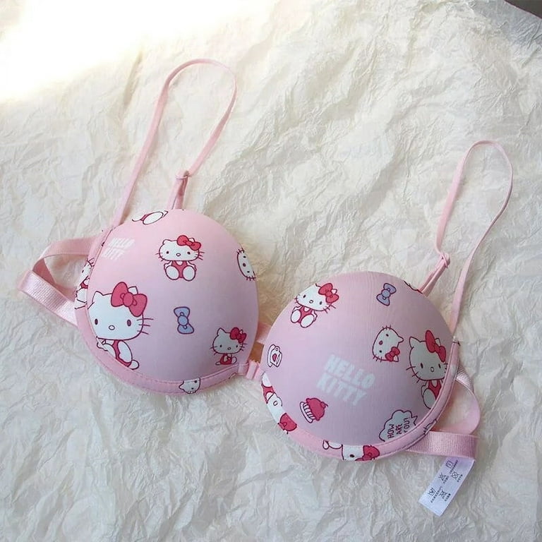 Sanrio Cute Hello Kitty Bra Sexy No Wire Push Up Underwear Women Seamless  Bra Girls Students Bras Breathable Gathered Lingerie - AliExpress