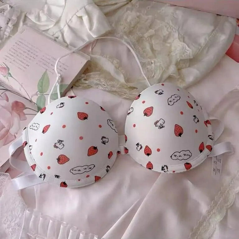 Sanrio Bra Set Hello Kitty Kawaii Sweet Underwear Panties and Bra Set  Push-Up Bra Comic Underwear Sexy Pure Desire Bra Girl Gift 