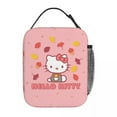 Sanrio Lunch Bags Hello Kitty Accessories Storage Bag Food Box