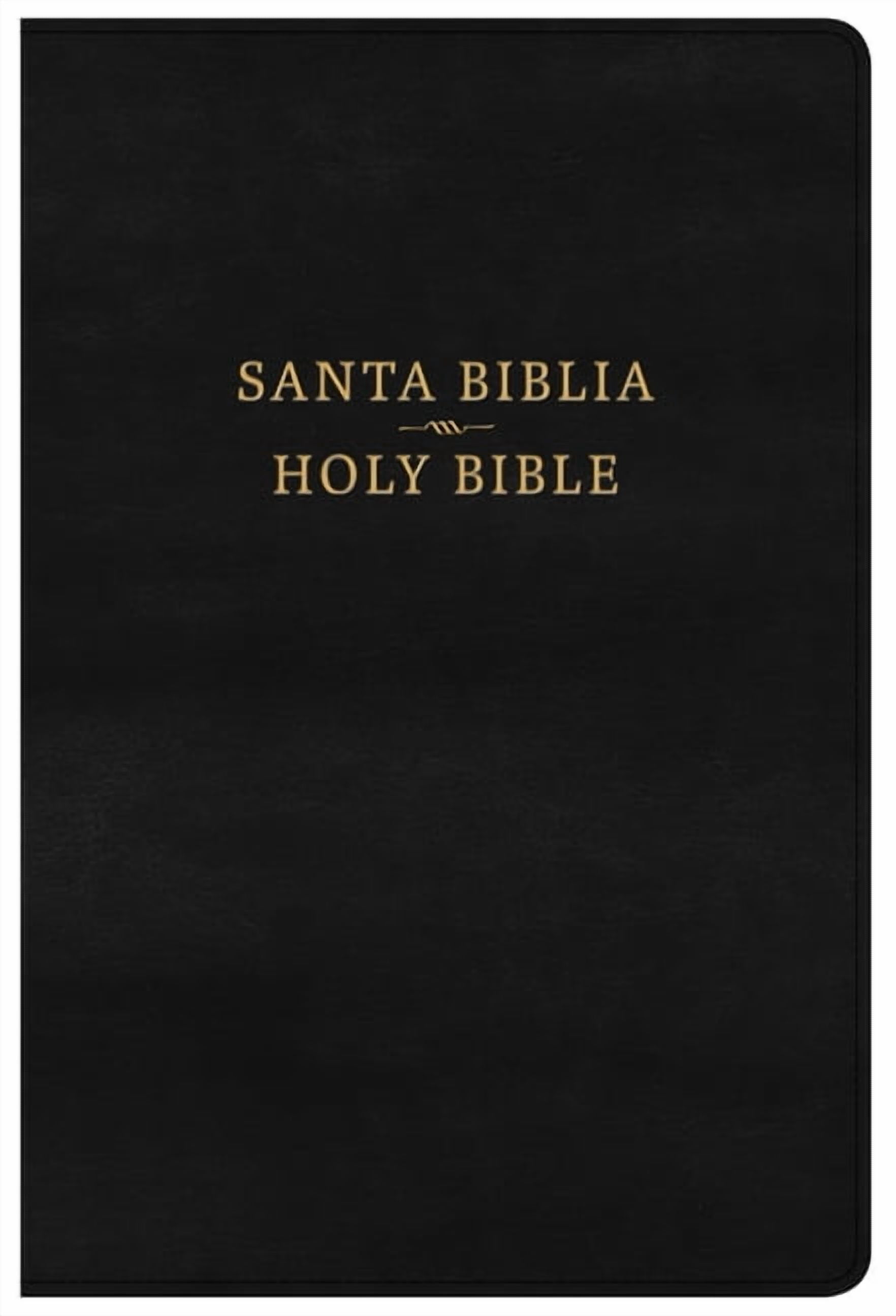 Santa biblia english español 聖書 NLT Bilingual Bible / Biblia bilingüe NLT/NTV (LeatherLike