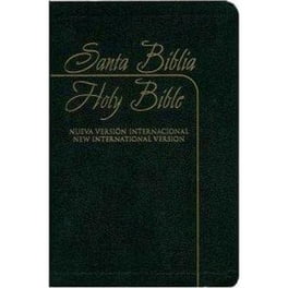 NLT Holy Bible: New Living Translation Standard Edition