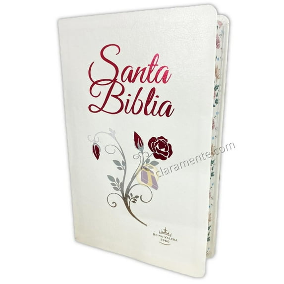 Santa Biblia: Reima Valera 1960, (Hardcover)