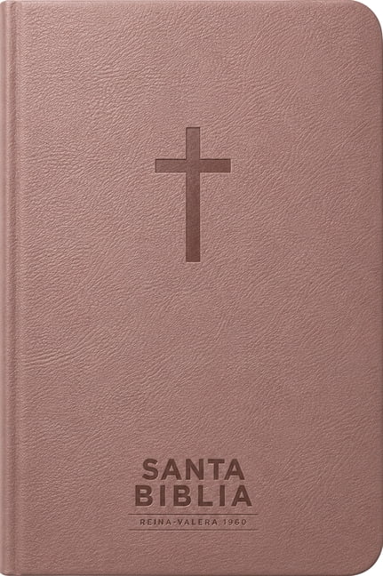 Santa Biblia Reina-Valera 1960 - Visual Con Mapas Mentales (Sentipiel, Rosa, Letra Roja), (Hardcover)