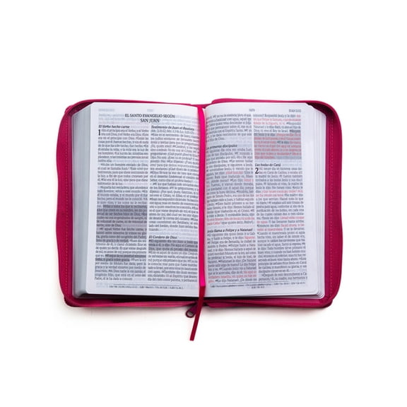 Santa Biblia de Promesas Reina-Valera 1960 / Tamao Manual / Letra Grande / Piel Especial Con Cierre / Fucsia // Spanish, (Hardcover)