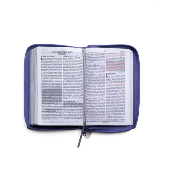 Santa Biblia de Promesas Reina-Valera 1960 / Tamao Manual / Letra Grande / Piel Especial Con Cierre / Lavanda // Spanish Promise Bible Rvr60 / Handy Size / Large Print / Leathersoft / Lavander (Other