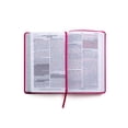thumbnail image 1 of Santa Biblia Promesas Reina-Valera 1960 Handy Size Large Print Leathersoft Fuchsia, 1 of 1