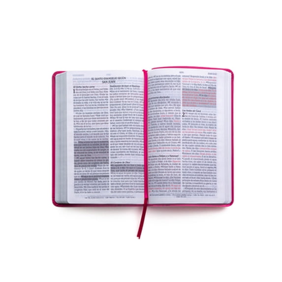 Santa Biblia Promesas Reina-Valera 1960 Handy Size Large Print Leathersoft Fuchsia