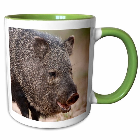 3drose, Santa Clara Ranch Rio Grande Valley Javelina Wildlife - Us44 Fzu0067 - Frank Zurey, 15oz Two-tone Green Mug