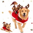 thumbnail image 1 of Santa Dog Costume, Santa Rider Pet Christmas Costume, Christmas Pet Outfit Cozy Holiday Party Wear with Reindeer Hood Design, Style-D, S, 1 of 7