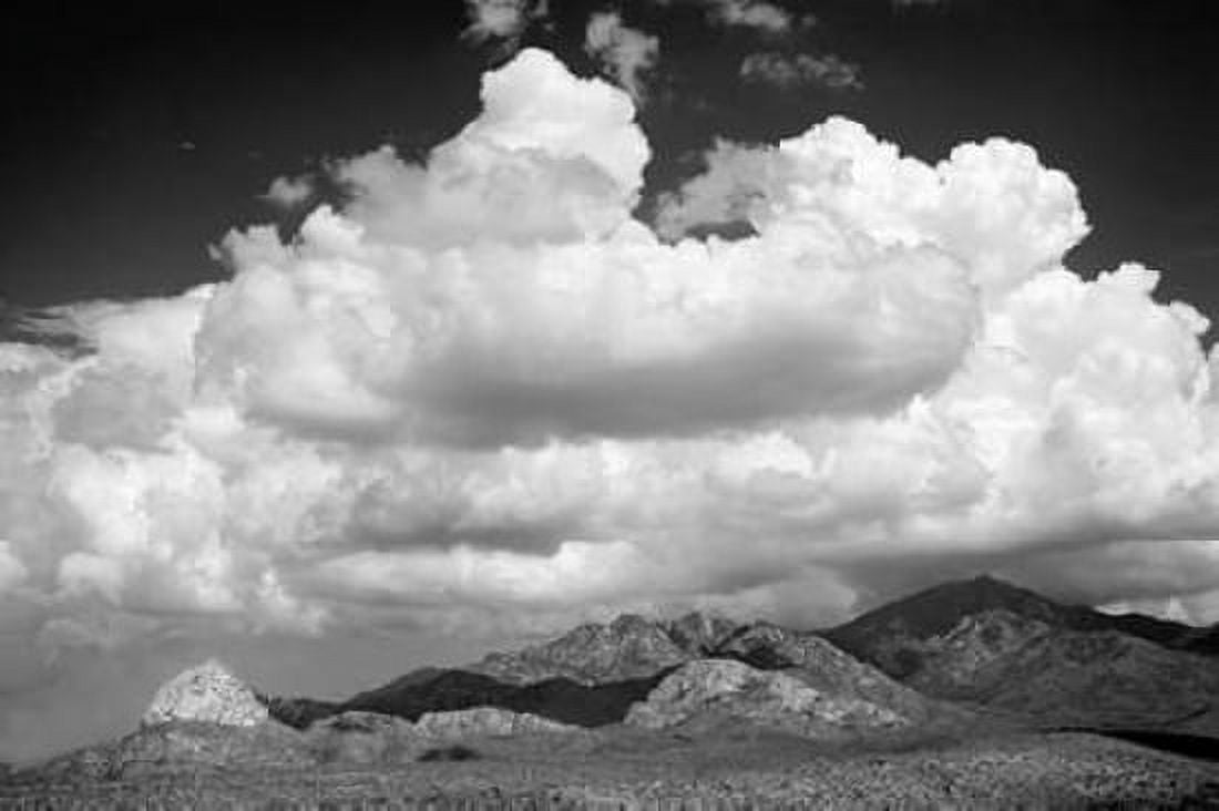 Santa Rita Mountains in August BW Canvas Art - Douglas Taylor (12 x 18)