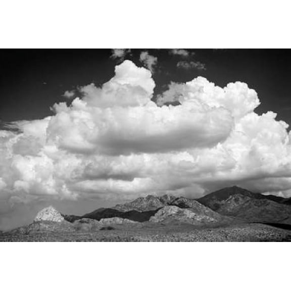 Santa Rita Mountains in August BW Canvas Art - Douglas Taylor (24 x 36)