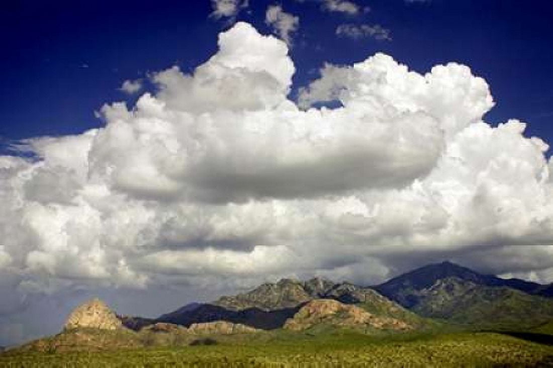 Santa Rita Mountains in August Canvas Art - Douglas Taylor (24 x 36)