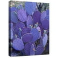 thumbnail image 1 of Santa Rita Prickly Pear, Wrapped Giclee Canvas, 1 of 1