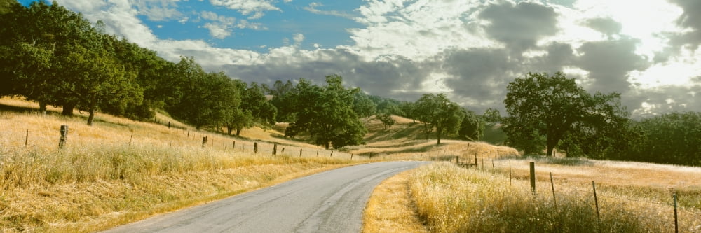 Santa Rosa Creek Road passing through field California State Route 46 California USA Canvas Art - Panoramic Images (36 x 12)