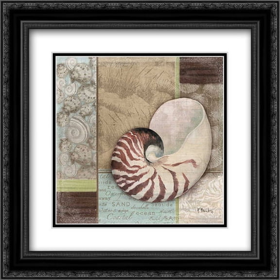 Santa Rosa Shell II 2x Matted 20x20 Black Ornate Framed Art Print by Brent, Paul