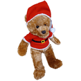 thumbnail image 1 of Santa Teddy Bear 18" Plush Stuffed Animal, 1 of 1