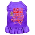 thumbnail image 1 of Christmas Pet Dog  Cat Dress Screen Printed, "Santa Stop Here, We Have Cookies", 1 of 11