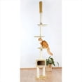 thumbnail image 1 of Santander Cat Playground, 1 of 1