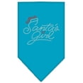 thumbnail image 1 of Santas Girl Rhinestone Bandana, Turquoise - Small, 1 of 1