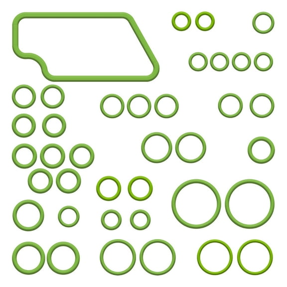 Santech/ Omega Envir. Tech. A/C O-Ring Kit