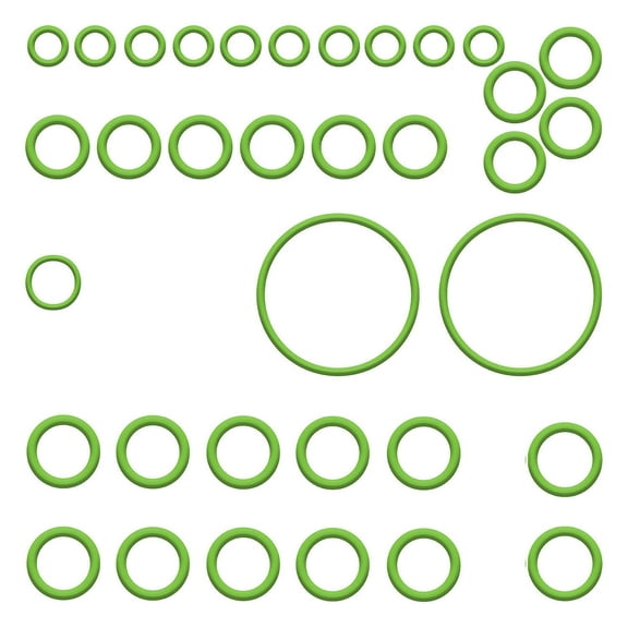 Santech/ Omega Envir. Tech. A/C O-Ring Kit