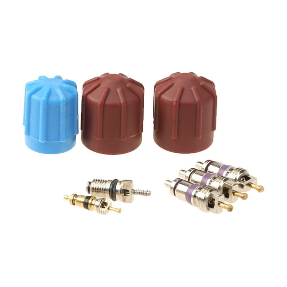 Santech/ Omega Envir. Tech. A/C Sys. Valve Core and Cap Kt, Valve Core & Cap Kit