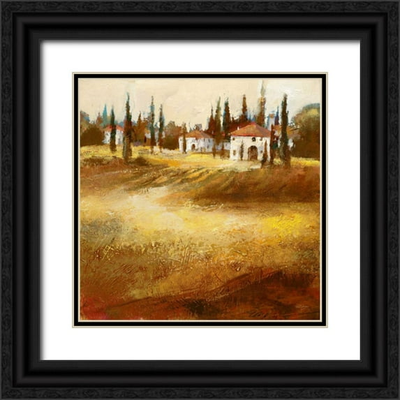 Santiago, Paul 12x12 Black Ornate Wood Framed with Double Matting Museum Art Print Titled - Tuscan Hills